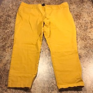 Mustard Capri pants